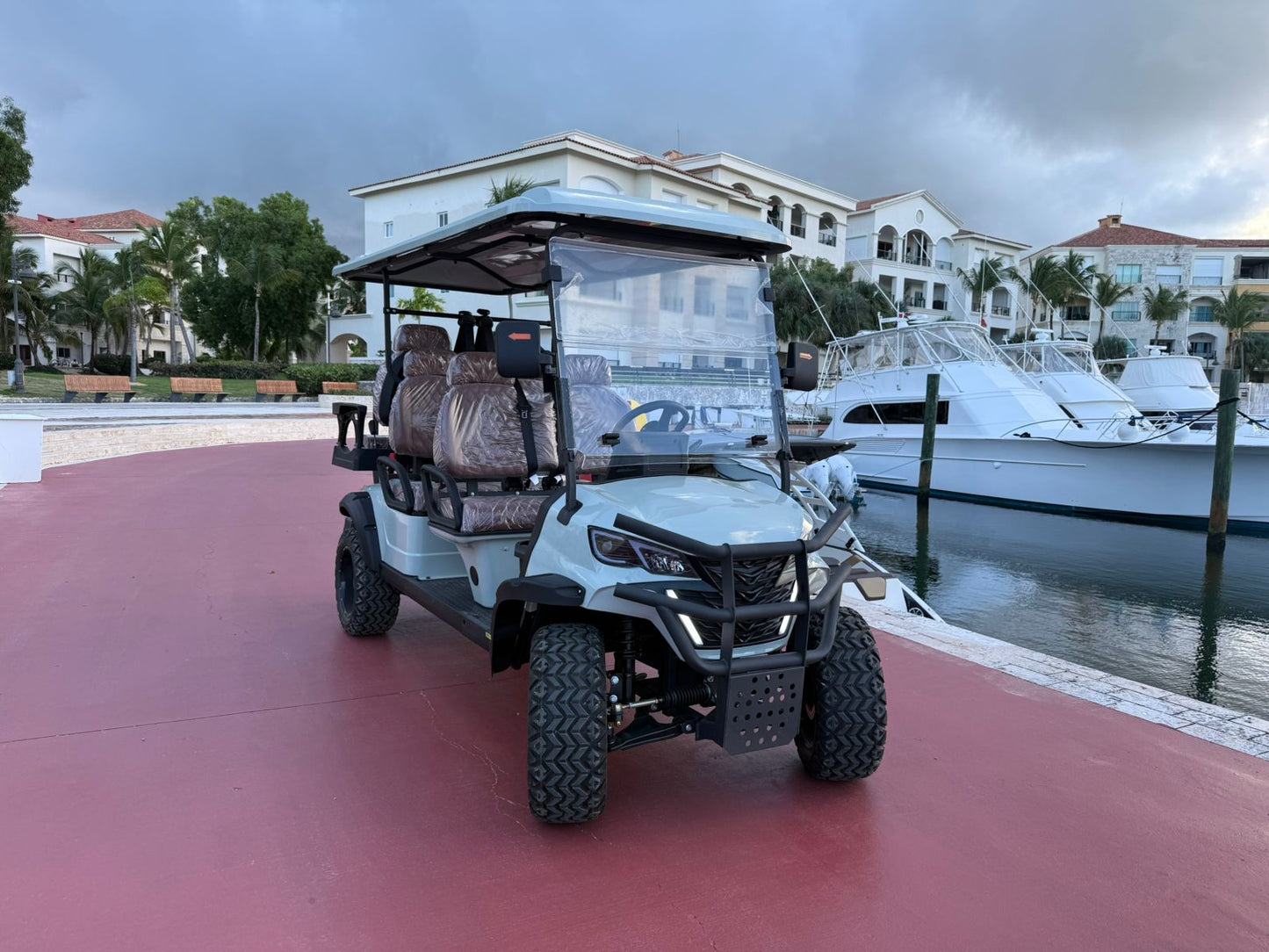 CARRITO GOLF DE LUJO