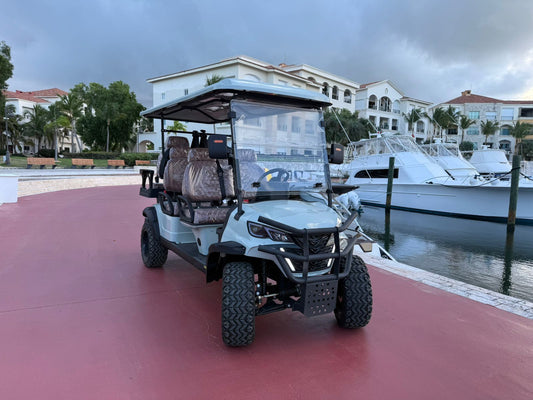 CARRITO GOLF DE LUJO